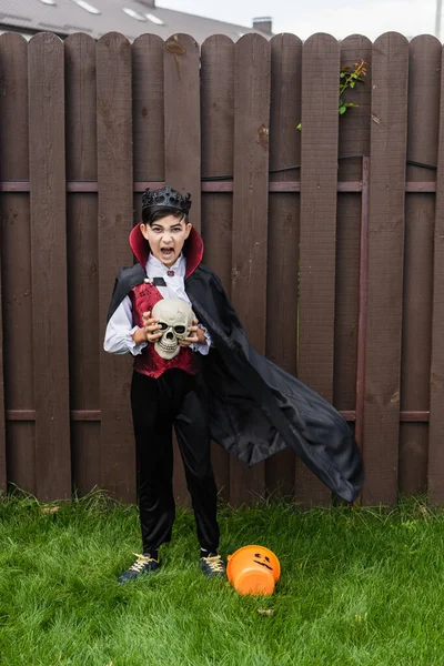 Asiático chico en vampiro rey traje celebración cráneo y gritando cerca halloween cubo en césped - foto de stock