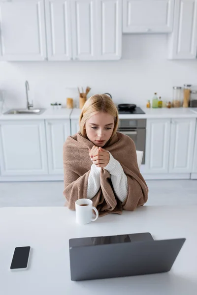 Blonde freelancer covered in blanket looking at laptop near smartphone and cup on table — Stock Photo