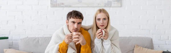 Молодая пара, покрытая одеялом, сидит на диване и держит чашки чая, баннер — стоковое фото