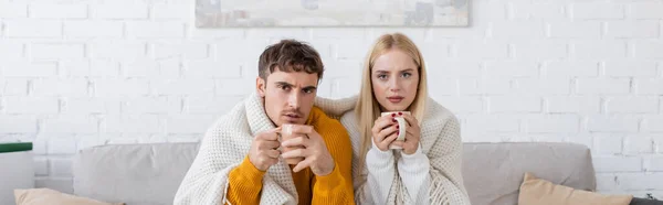 Pareja joven cubierta de manta sentado en el sofá y sosteniendo tazas de té, pancarta - foto de stock