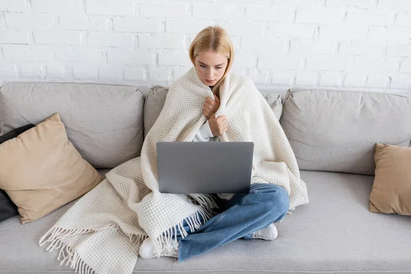 Mujer rubia joven cubierta de manta blanca usando el ordenador portátil mientras está sentado en el sofá en la sala de estar - foto de stock