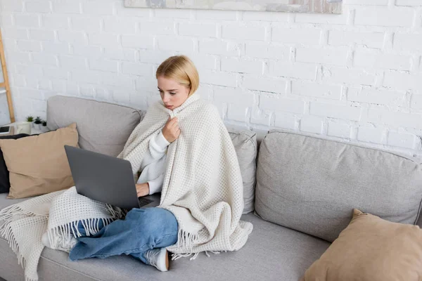 Молода блондинка фрілансер, покрита білою ковдрою, використовує ноутбук, сидячи на дивані у вітальні — стокове фото