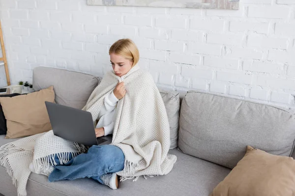 Young blonde freelancer covered in white blanket using laptop while sitting on sofa in living room — Stock Photo