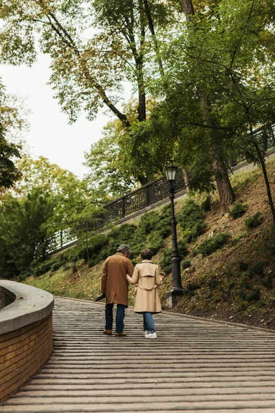 Rückansicht eines älteren Ehepaares in Mänteln, die mit Coffee to go und Regenschirm im Park spazieren gehen — Stockfoto