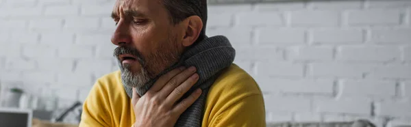 Diseased man in warm scarf touching sore throat and coughing at home, banner — Stock Photo
