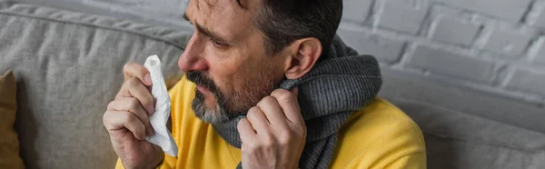 High angle view of man with sore throat and runny nose holding paper napkin while sitting in warm scarf, banner — Stock Photo