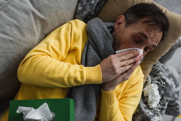 Вид сверху на больного в теплом шарфе лежащего на диване и чихающего в бумажной салфетке — стоковое фото