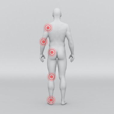 erkek insan anatomisi ve eklem