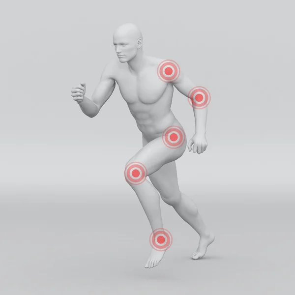 erkek insan anatomisi ve eklem