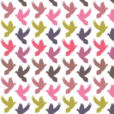 renkli güvercinler desen