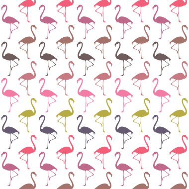 renkli flamingo desen