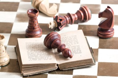 kitap ile satranç figürleri