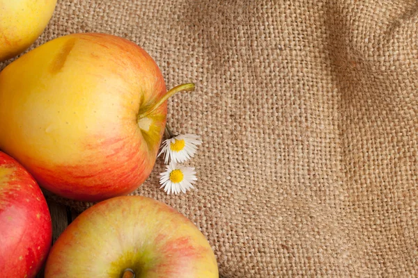 Fresh apples — Stock Photo, Image