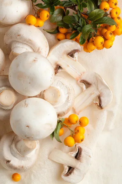 Cogumelos de champignon — Fotografia de Stock