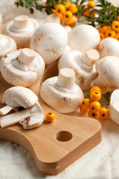 Funghi Champignon — Foto Stock