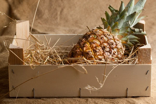 木製の箱でパイナップル — ストック写真