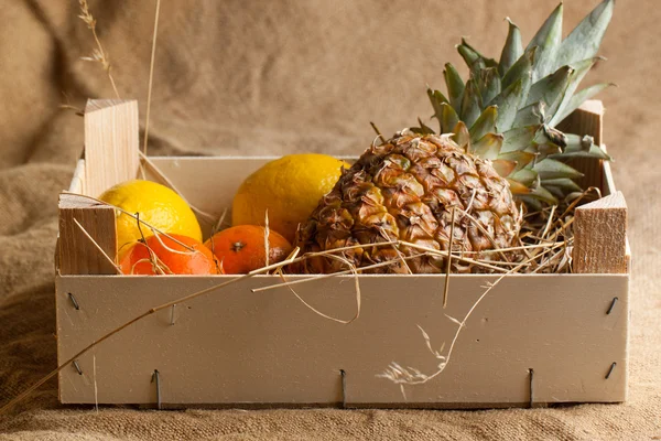 Frutas frescas diversas —  Fotos de Stock