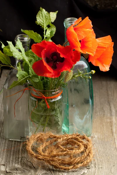 Poppy flower — Stock Photo, Image