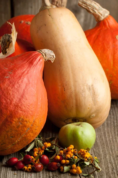 Oranje pompoenen — Stockfoto