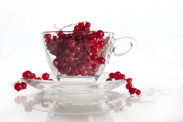 Стеклянная чашка с мокрой красной смородиной — стоковое фото