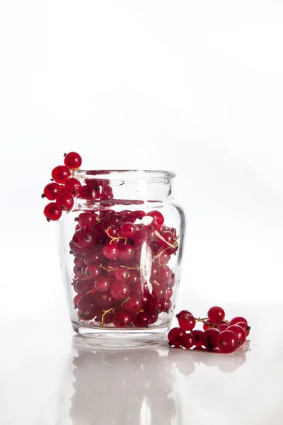 Red currant — Stock Photo, Image