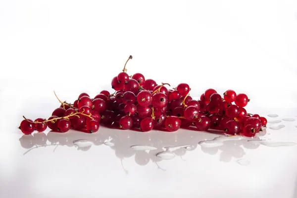 Red currant over white — Stock Photo, Image