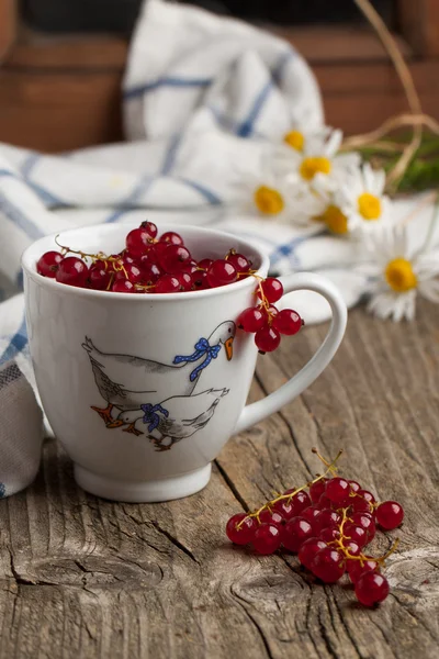 Red currant — Stock Photo, Image