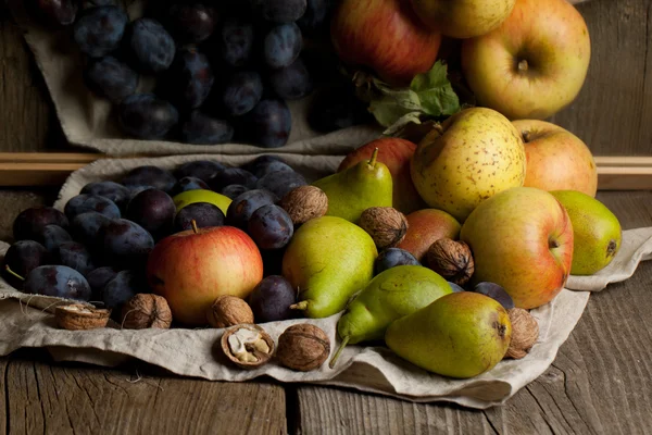 Frische verschiedene Früchte — Stockfoto