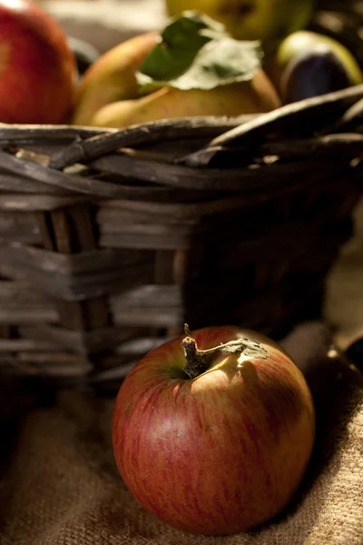 Apple in sunshine — Stock Photo, Image