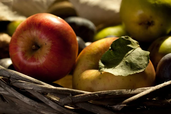 Frische Äpfel — Stockfoto