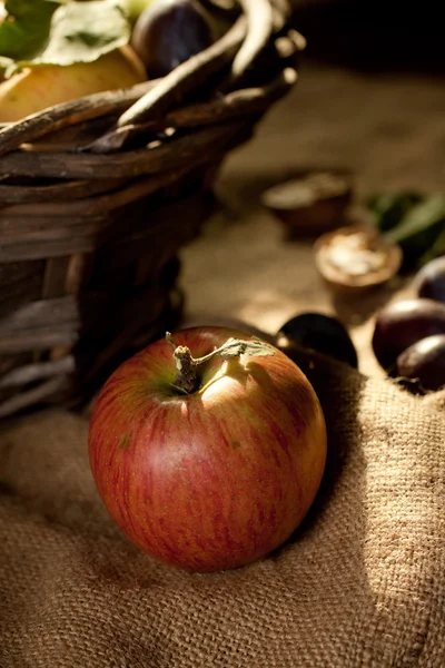 Apple in sunshine — Stock Photo, Image