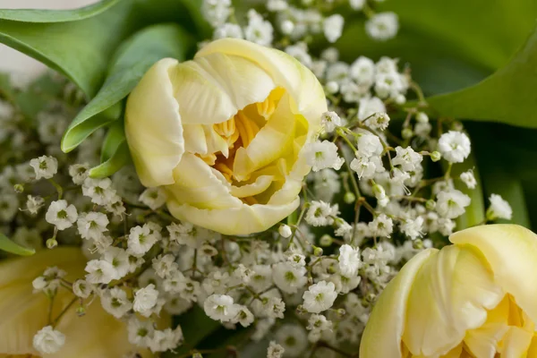 Букет жовтих тюльпанів — стокове фото