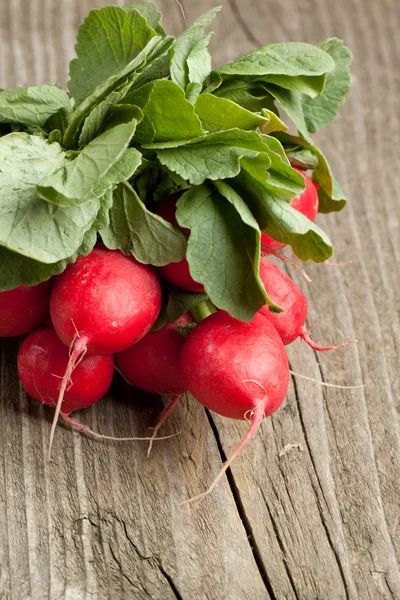 Fresh radishes — Stock Photo, Image