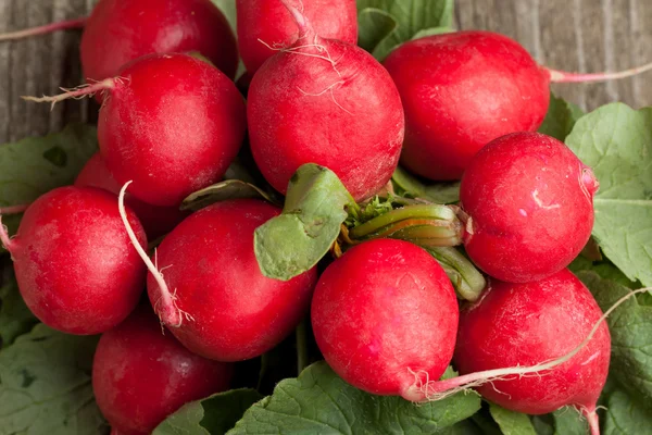 Close-up of fresh radishes — Stock Photo, Image