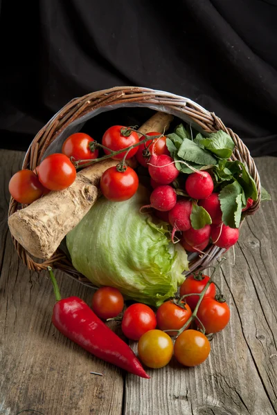 Mix of vegetables from basket — Stock Photo, Image