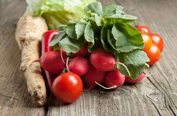 Mix of fresh vegetables — Stock Photo, Image