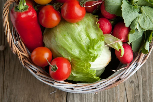 CESTA CON VEGETALES FRESCOS — Foto de Stock