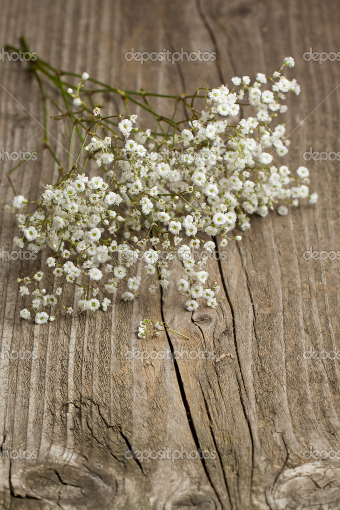 Bouquet De Gypsophila Haleine De Bebe Image Libre De Droit Par Natashabreen C Bouquet De Gypsophila Haleine De Bebe Image Libre De Droit Par Natashabreen C