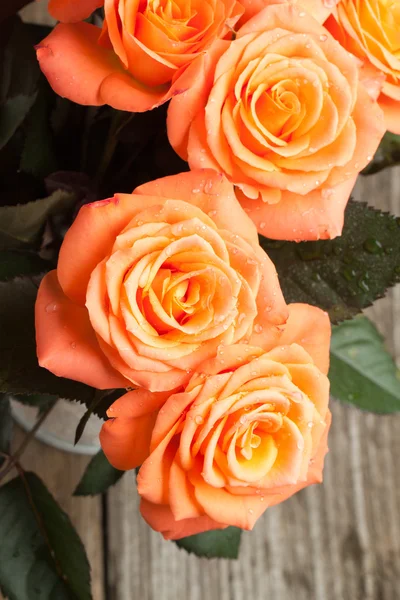 Narancssárga rózsák — Stock Fotó