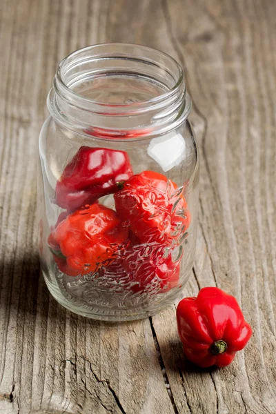 Red chili habanero peppers — Stock Photo, Image