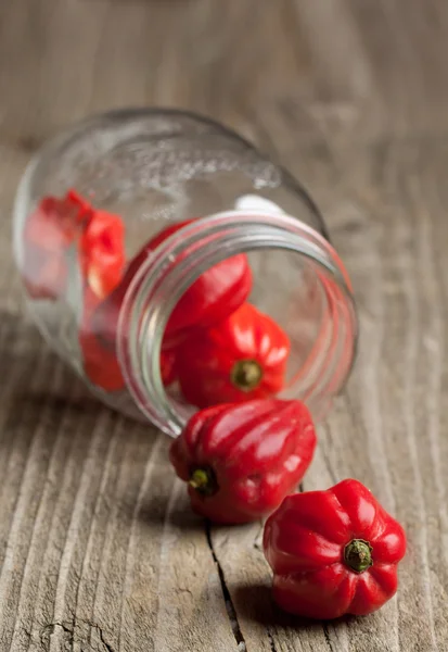 Red chili habanero peppers from jar — Stock Photo, Image