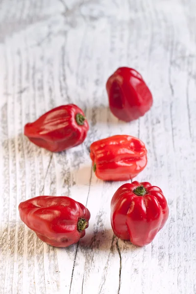 Červené chilli papričky habanero — Stock fotografie