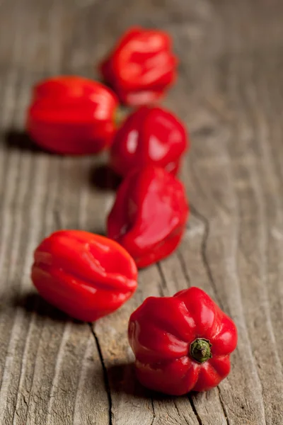 Red chili habanero peppers — Stock Photo, Image