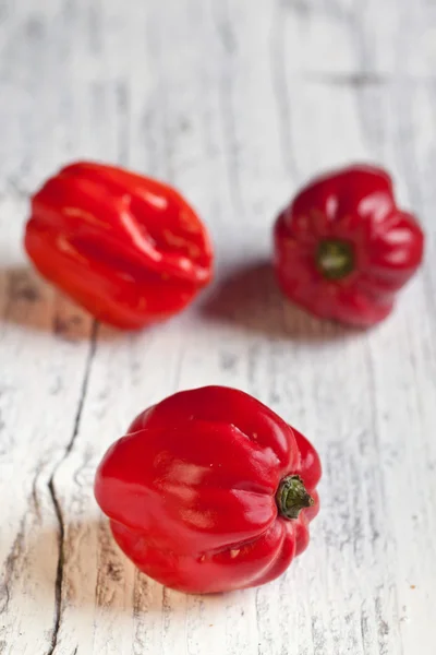 Red chili habanero peppers — Stock Photo, Image