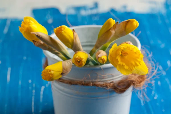 Gula påskliljor — Stockfoto