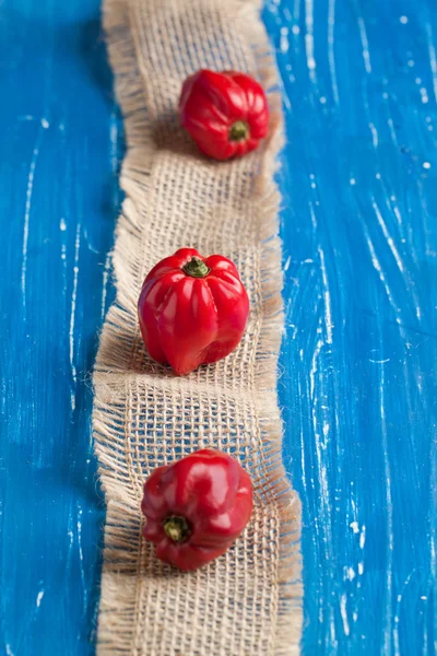 Kırmızı habanero biber — Stok fotoğraf