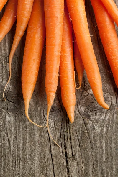 Fresh carrots — Stock Photo, Image