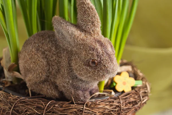 Coniglio di Pasqua — Foto Stock