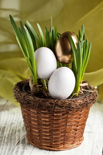 Easter eggs in fresh spring grass — Stock Photo, Image