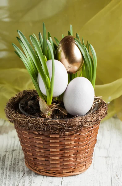 Easter eggs in fresh spring grass — Stock Photo, Image